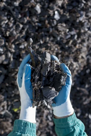 Hands holding a quantity of dark, granular biochar.